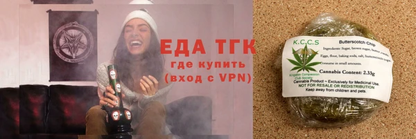 молекула духа Вяземский