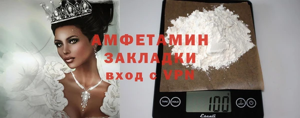молекула духа Вяземский