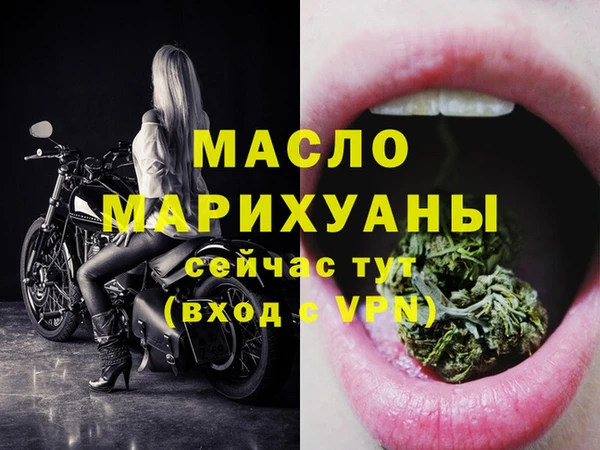 молекула духа Вяземский
