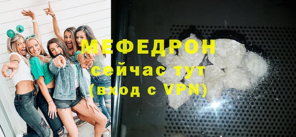 молекула духа Вяземский