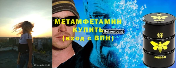 молекула духа Вяземский